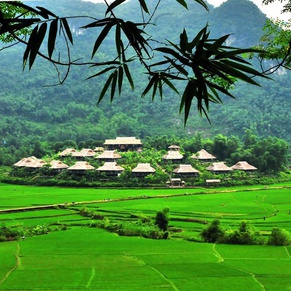 Mai Chau