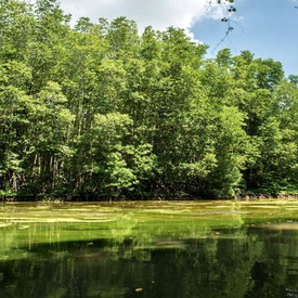 Vam Sat Ecological Tourist Center