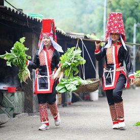 Promote community-based tourism in Binh Lieu, Quang Ninh Province