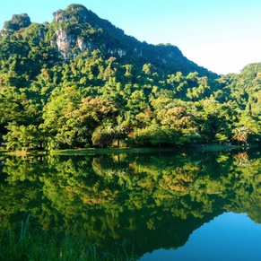 Cuc Phuong National Park